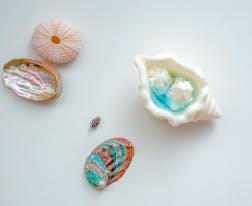 2025年報(bào)志愿文科最好的三個(gè)組合 有哪些推薦