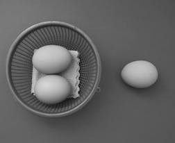 成都東軟學(xué)院和西南交通大學(xué)希望學(xué)院對(duì)比哪個(gè)好哪個(gè)更厲害？差距巨大嗎！